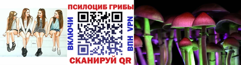 цены   Бабушкин  Псилоцибиновые грибы прущие грибы 